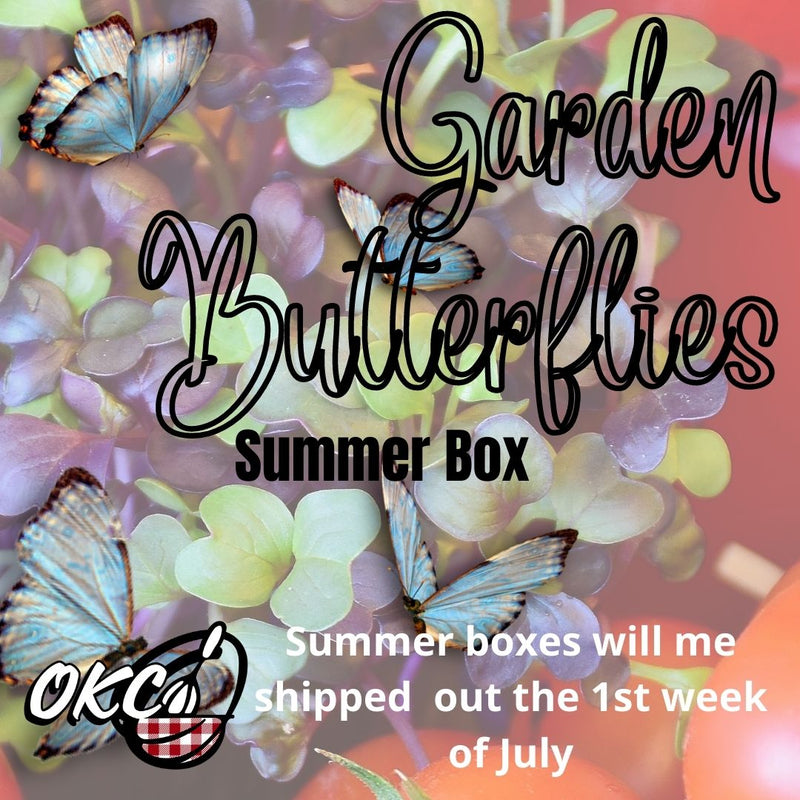 Garden Butterflies Summer Boxes