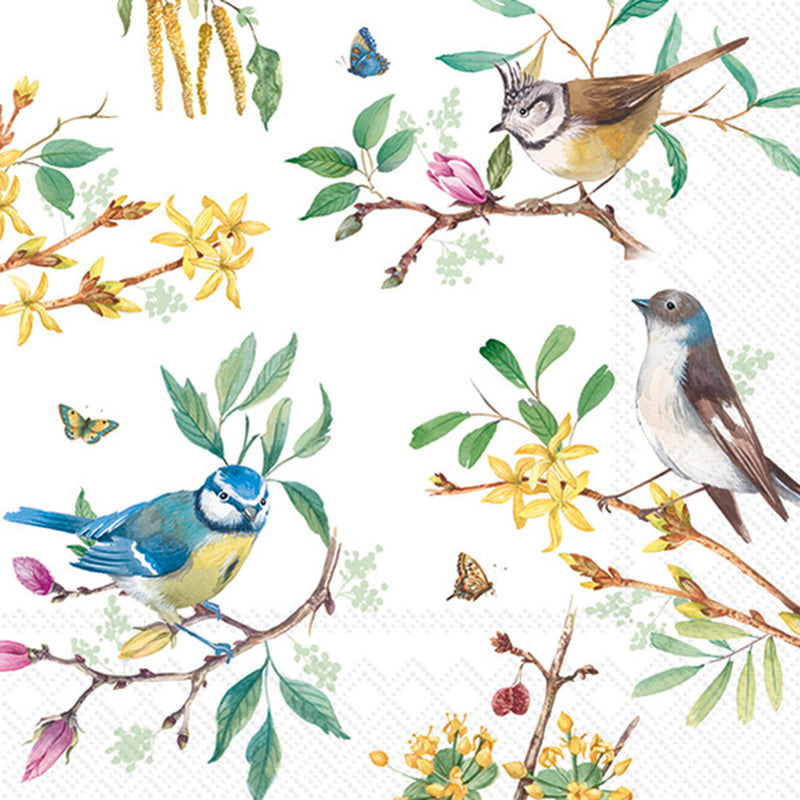Boston International Lunch Napkins