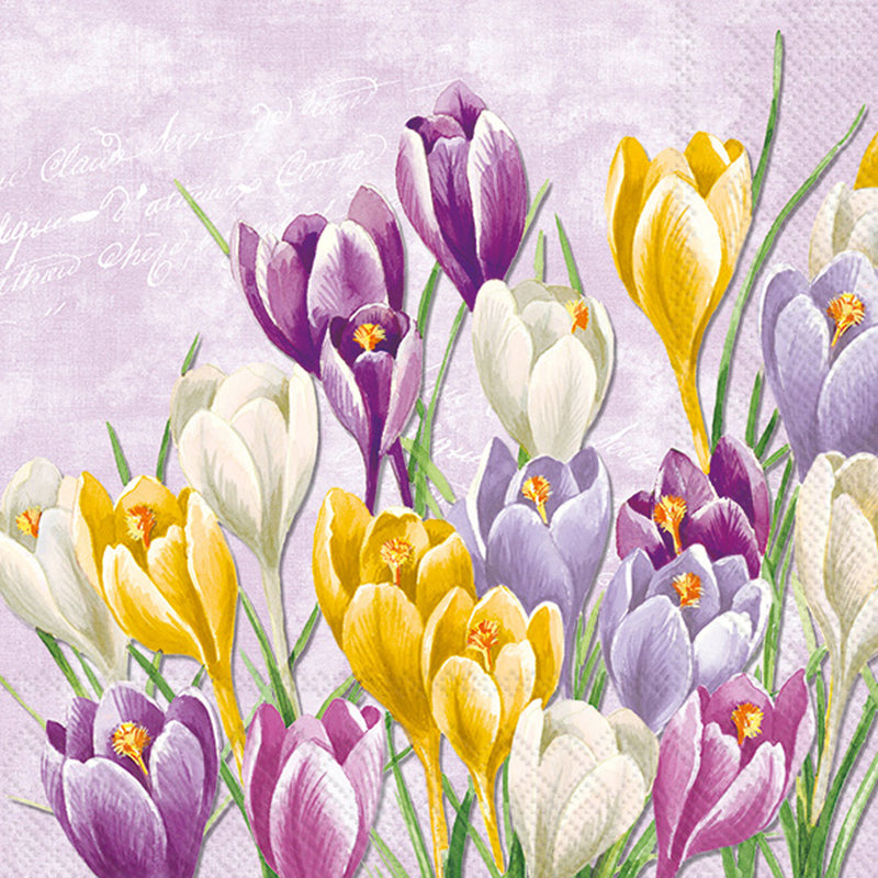 Boston International Blooming Crocus Lilac Lunch Napkins