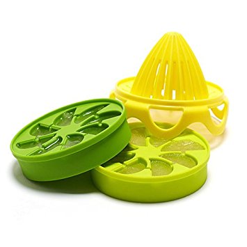 Danesco Citrus ice cube infuser set